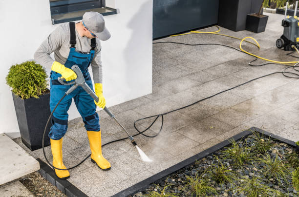 Best House Pressure Washing  in Senath, MO