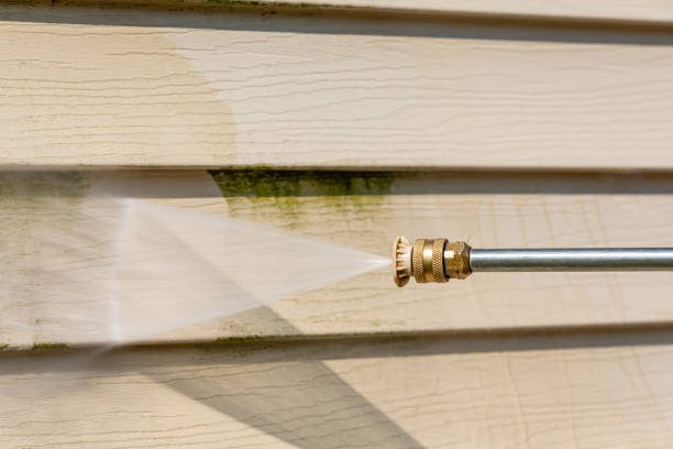 Best Roof Power Washing Services  in Senath, MO